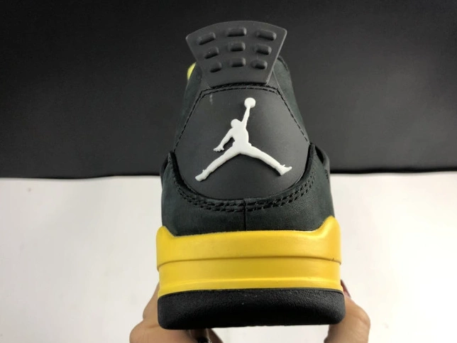 Retro Thunder 4 Air Jordan 308497-008 1010